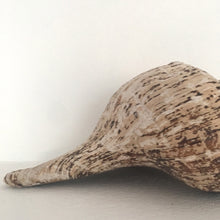 Load image into Gallery viewer, Jättesnäcka